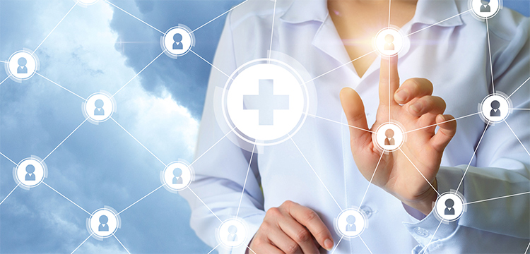 Welcome to The Thicket, a legal blog about healthcare in the digital era