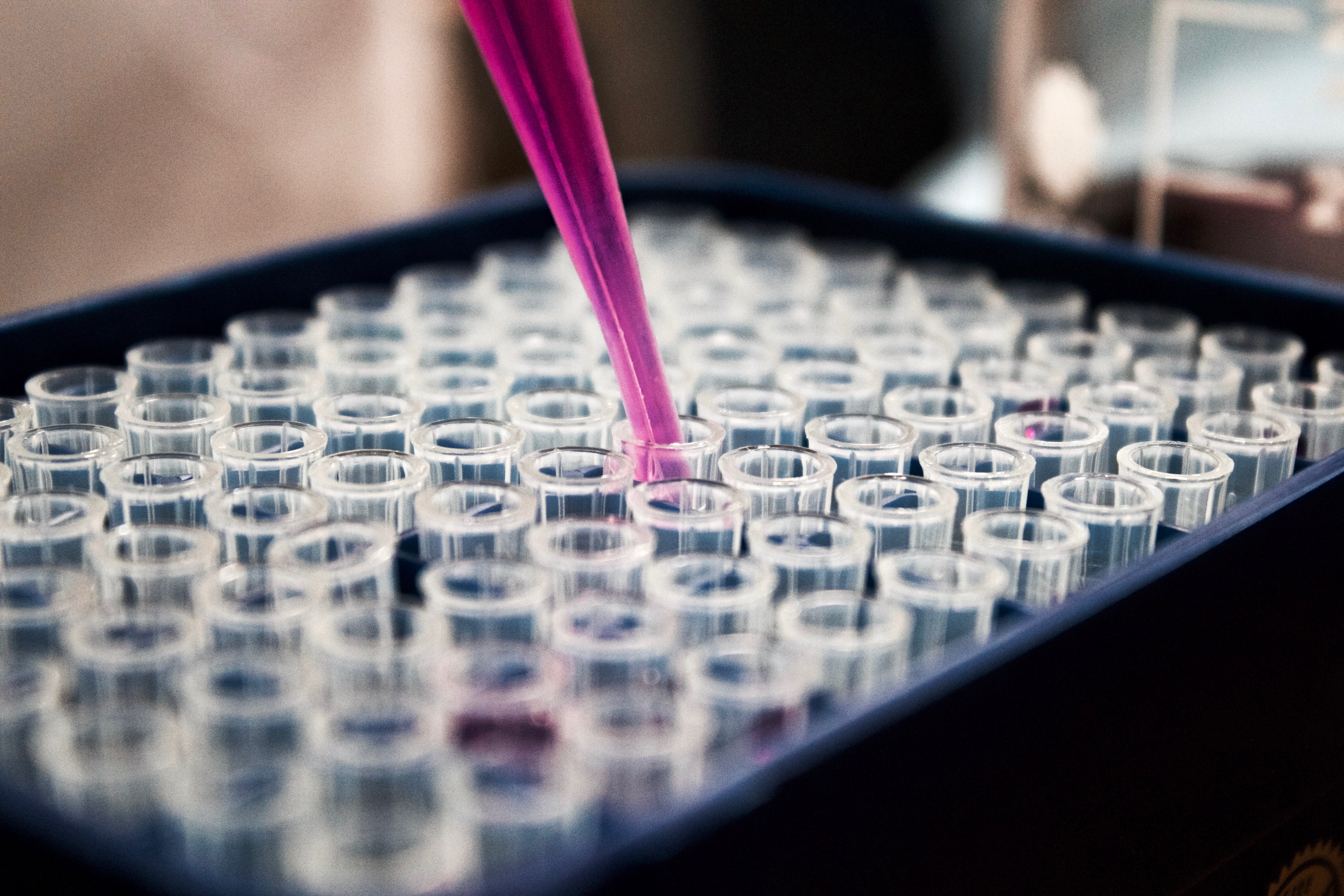 Healthcare mergers: What caught our eye this summer